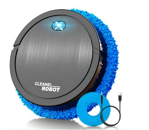 Fully Automatic Intelligent Mute Sweeping Robot